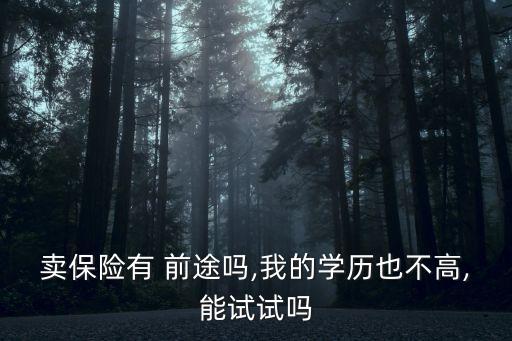 賣保險有 前途嗎,我的學歷也不高,能試試嗎