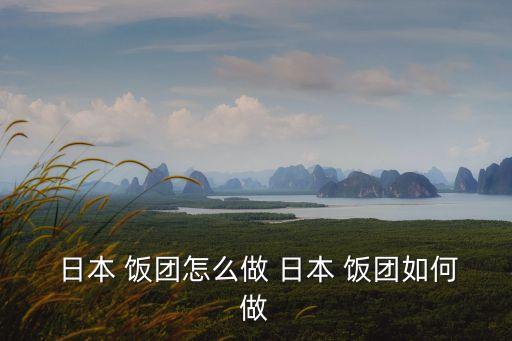  日本 飯團怎么做 日本 飯團如何做