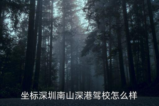 坐標(biāo)深圳南山深港駕校怎么樣