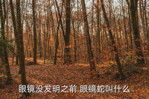 眼鏡沒發明之前 眼鏡蛇叫什么