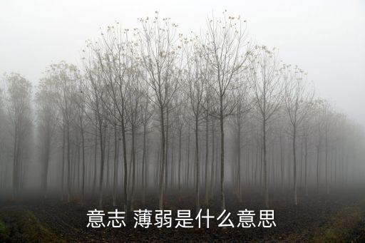 薄弱的意思,選戰(zhàn)失敗法西斯精神蕩然無存