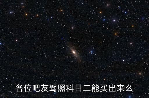 各位吧友駕照科目二能買出來么