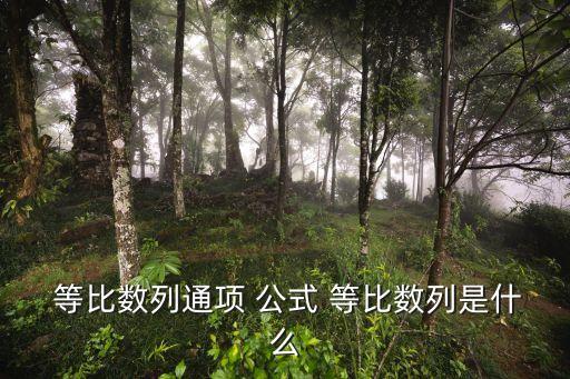  等比數列通項 公式 等比數列是什么