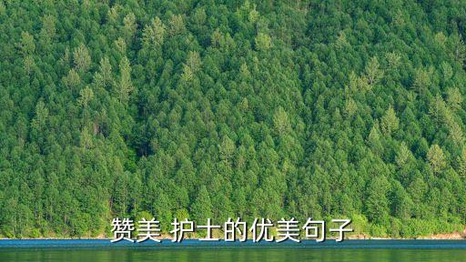 贊美 護(hù)士的優(yōu)美句子