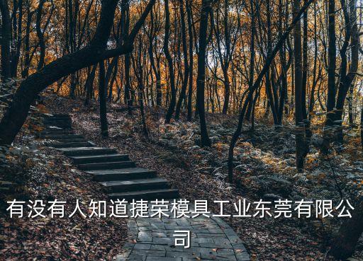 有沒有人知道捷榮模具工業(yè)東莞有限公司