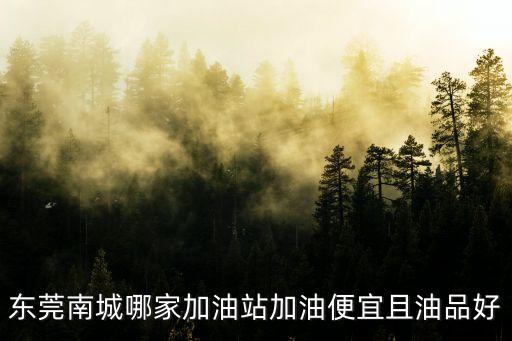東莞南城哪家加油站加油便宜且油品好