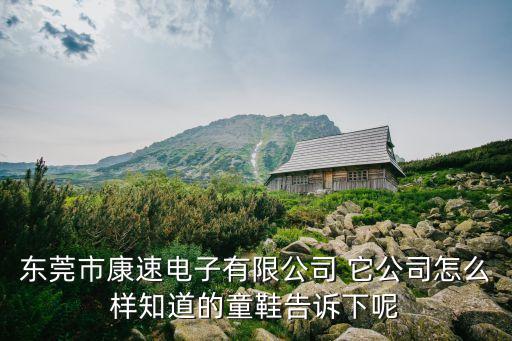東莞康邦電子有限公司，東莞市康速電子有限公司 它公司怎么樣知道的童鞋告訴下呢
