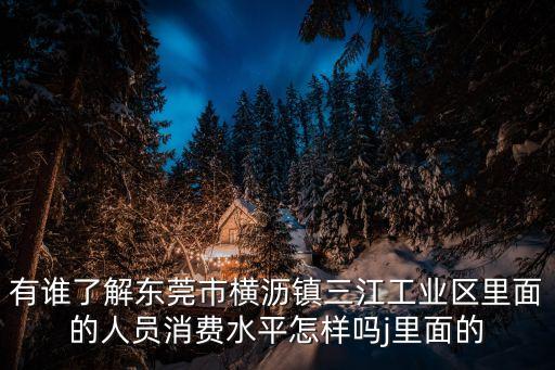 有誰了解東莞市橫瀝鎮三江工業區里面的人員消費水平怎樣嗎j里面的