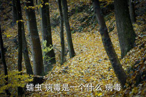 蠕蟲 病毒是一個什么 病毒