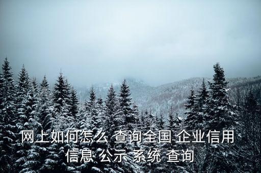 網(wǎng)上如何怎么 查詢?nèi)珖?企業(yè)信用 信息 公示 系統(tǒng) 查詢