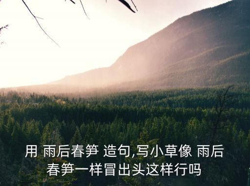 雨后春筍造句,雨后春筍引熱議