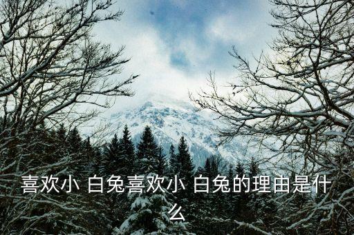 小白兔的圖片,兔子的足跡!我喜歡小白兔