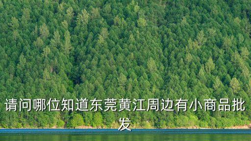 東莞黃江有幾批發市場，請問哪位知道東莞黃江周邊有小商品批發
