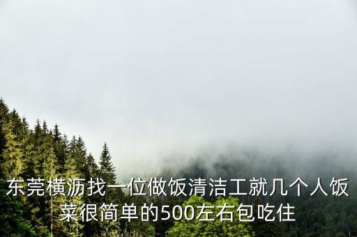 東莞橫瀝洗碗廠，東莞橫瀝西城一區正對面是什么廠