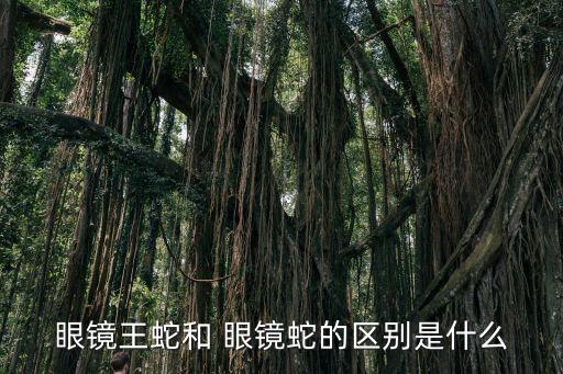 眼鏡王蛇和 眼鏡蛇的區別是什么