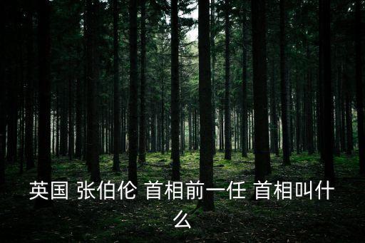張伯倫首相,不滿政府沒批準張伯倫繼續(xù)任相英民調(diào):反常態(tài)!