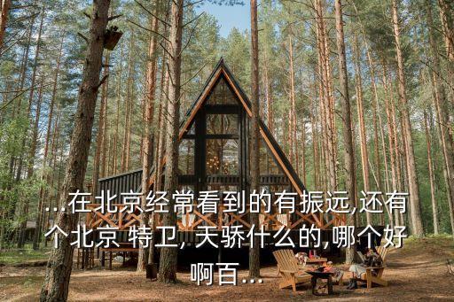 ...在北京經常看到的有振遠,還有個北京 特衛, 天驕什么的,哪個好啊百...