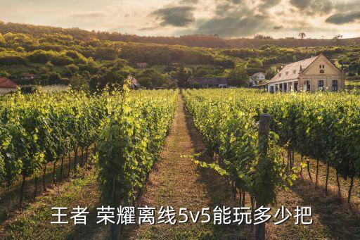 王者榮耀游戲機(jī),王者榮耀如何定位偏僻地方?