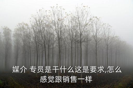 媒介 專員是干什么這是要求,怎么感覺跟銷售一樣