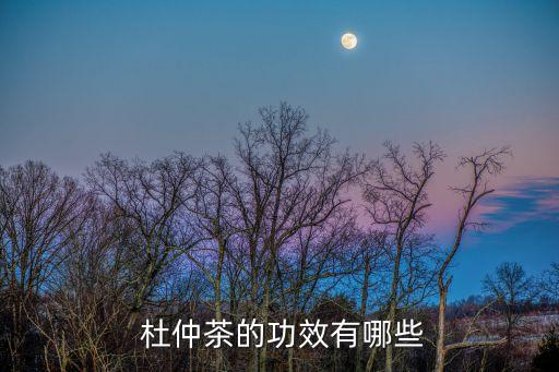  杜仲茶的功效有哪些
