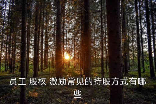 員工 股權 激勵常見的持股方式有哪些