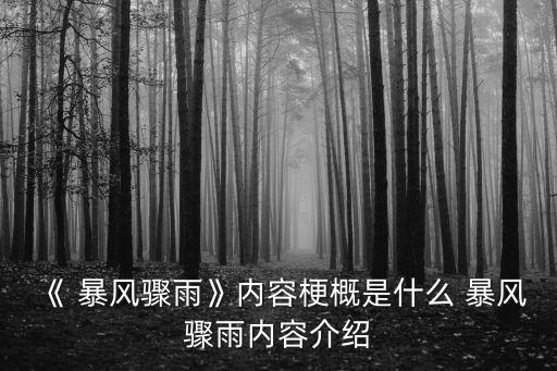 暴風驟雨,暴風驟雨第一集