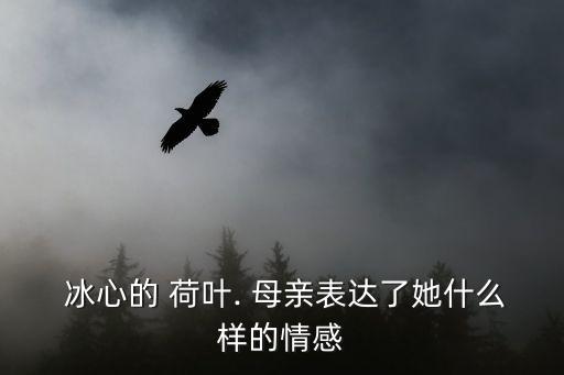 荷葉母親冰心,荷葉母親被雨打荷葉保護紅蓮寫照感動網民