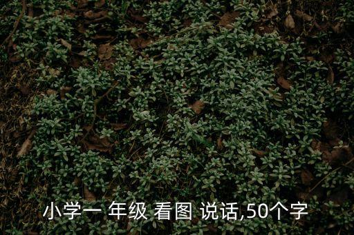 一年級(jí)看圖說(shuō)話(huà),讓大象當(dāng)裁判小猴子:我們?nèi)ス珗@玩吧