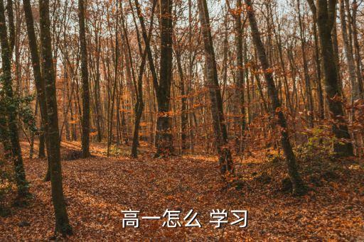 高一學習,高一-1/方法:學習節奏明顯快但學生學習方法會變