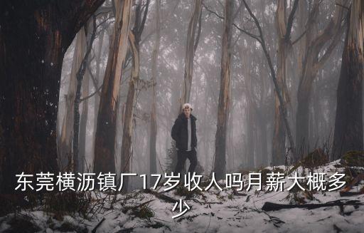 東莞橫瀝鎮廠17歲收人嗎月薪大概多少