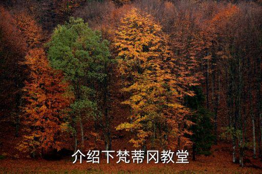 梵蒂岡大教堂，介紹下梵蒂岡教堂