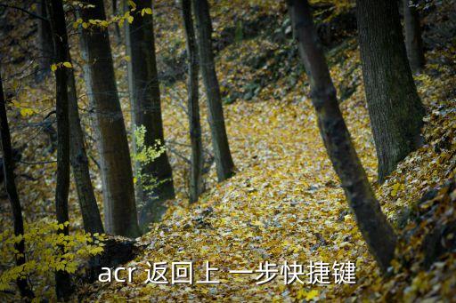 acr 返回上 一步快捷鍵