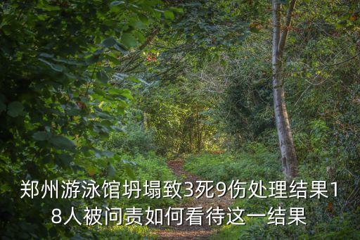 東莞深糧事故問責人，特別重大事故問責范圍