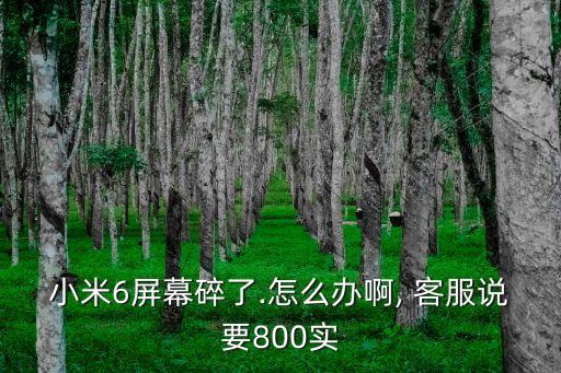小米6屏幕碎了.怎么辦啊, 客服說要800實