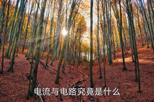 電流和電路，電路與電流的關(guān)系