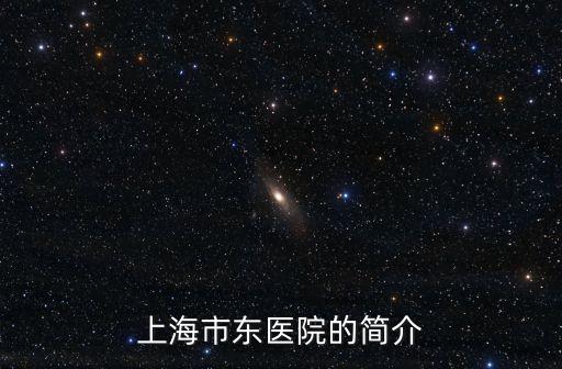 上海市東醫院的簡介