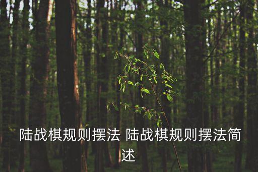  陸戰棋規則擺法 陸戰棋規則擺法簡述