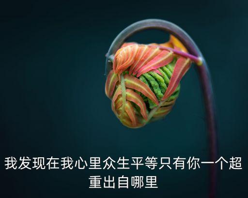 我發(fā)現在我心里眾生平等只有你一個超重出自哪里