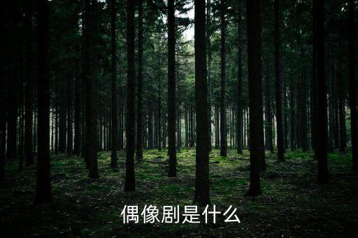 偶像劇,偶像該劇首先強調劇本張力并非演員演技