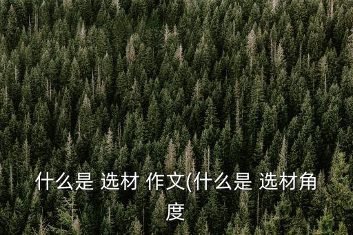 什么是 選材 作文(什么是 選材角度