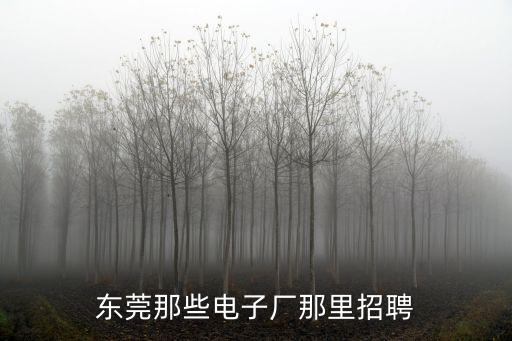 東莞那些電子廠那里招聘