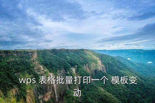wps表格模板,本地新增13起病例沒有本土病例