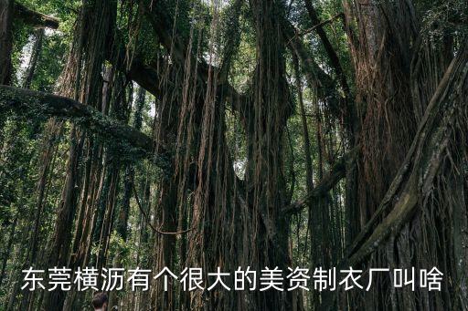 東莞橫瀝有個很大的美資制衣廠叫啥