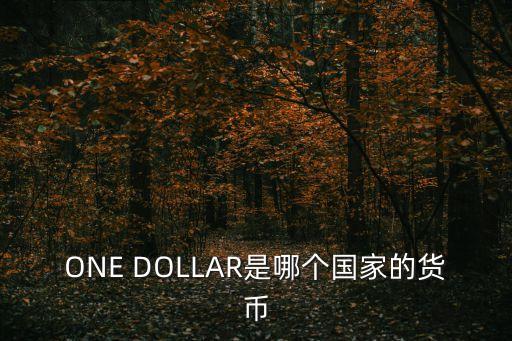 硬幣英文，BANK NECARA MALAYSIA是什么硬幣
