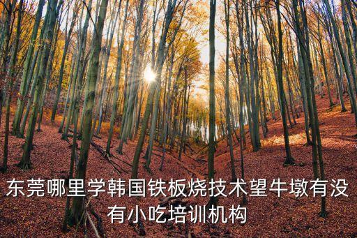 東莞黃江江海天悅，韓版服飾那里的比較好東莞