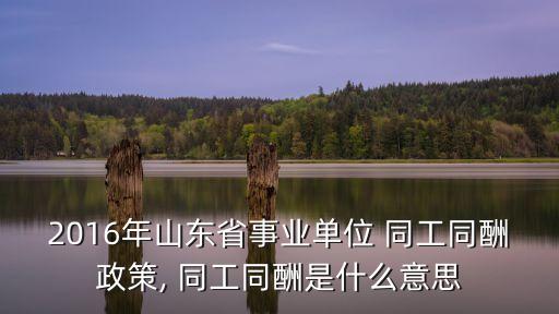 同工同酬什么意思,同工同酬很容易被異化成用人單位應(yīng)對對策