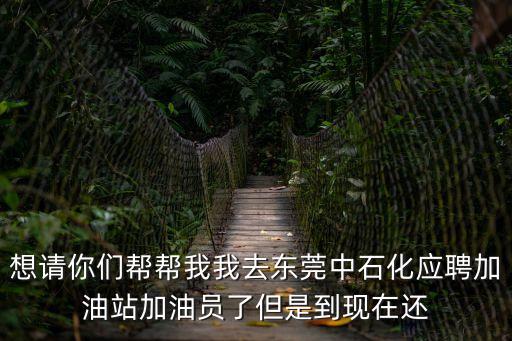 想請你們幫幫我我去東莞中石化應聘加油站加油員了但是到現在還