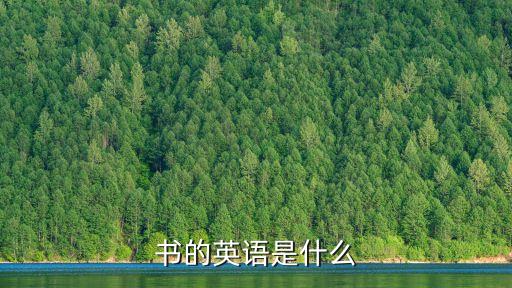 書的英語是什么