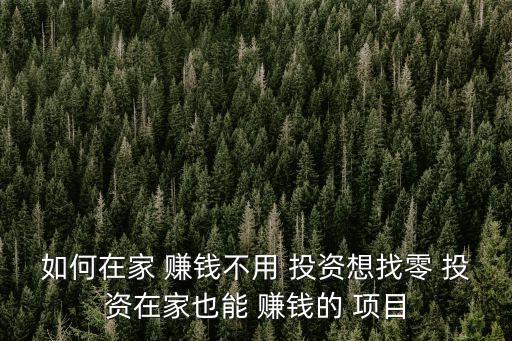 如何在家 賺錢不用 投資想找零 投資在家也能 賺錢的 項目