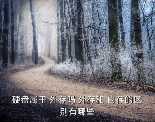 硬盤屬于 外存嗎 外存和 內存的區別有哪些